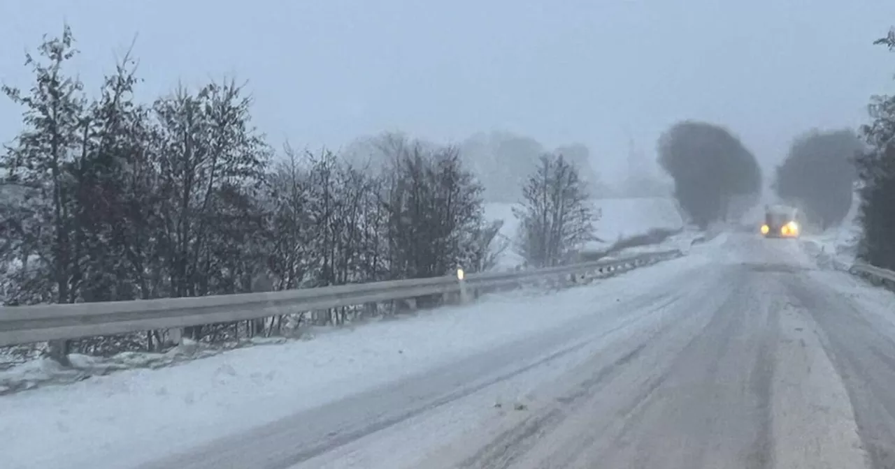 DMI med helt frisk melding: Snebyger og hyppig nattefrost på vej