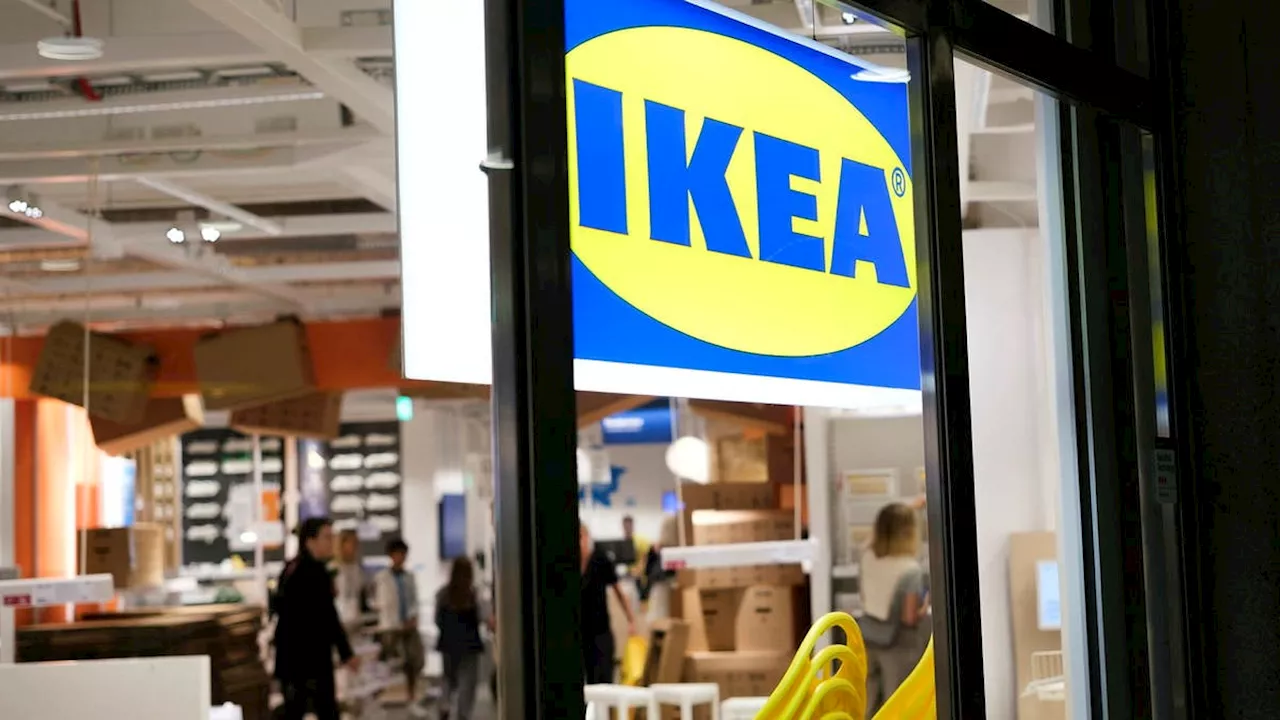 Världens bästa arbetsplatser 2024: Ikea hamnar högt