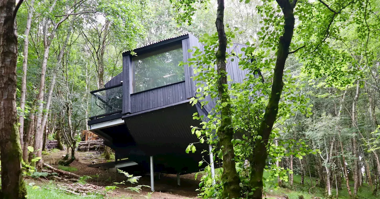 The 'magical' Highlands Airbnb treehouse you can stay in at massive discount