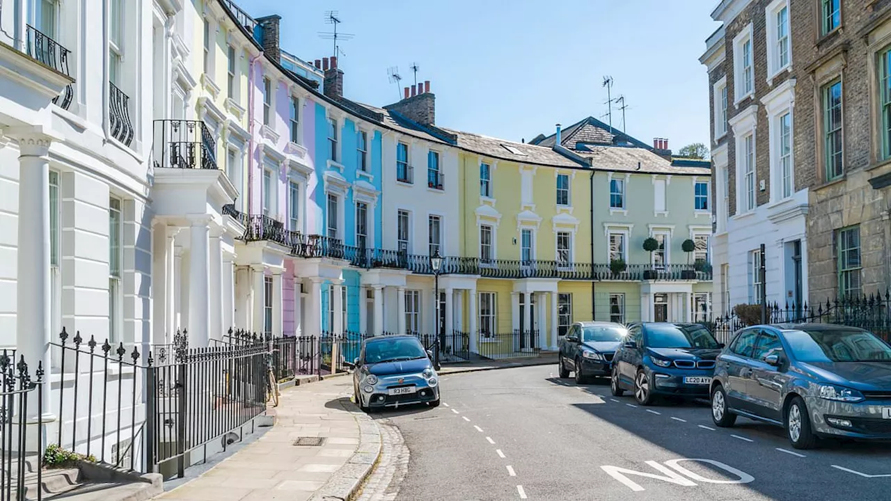 Our street is being 'pimped out' to Insta-obsessed Paddington Bear tourists: Furious locals...