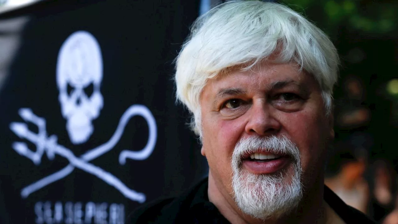 Gründer von Sea Shepherd: Militanter Walschützer Watson beantragt Asyl in Frankreich