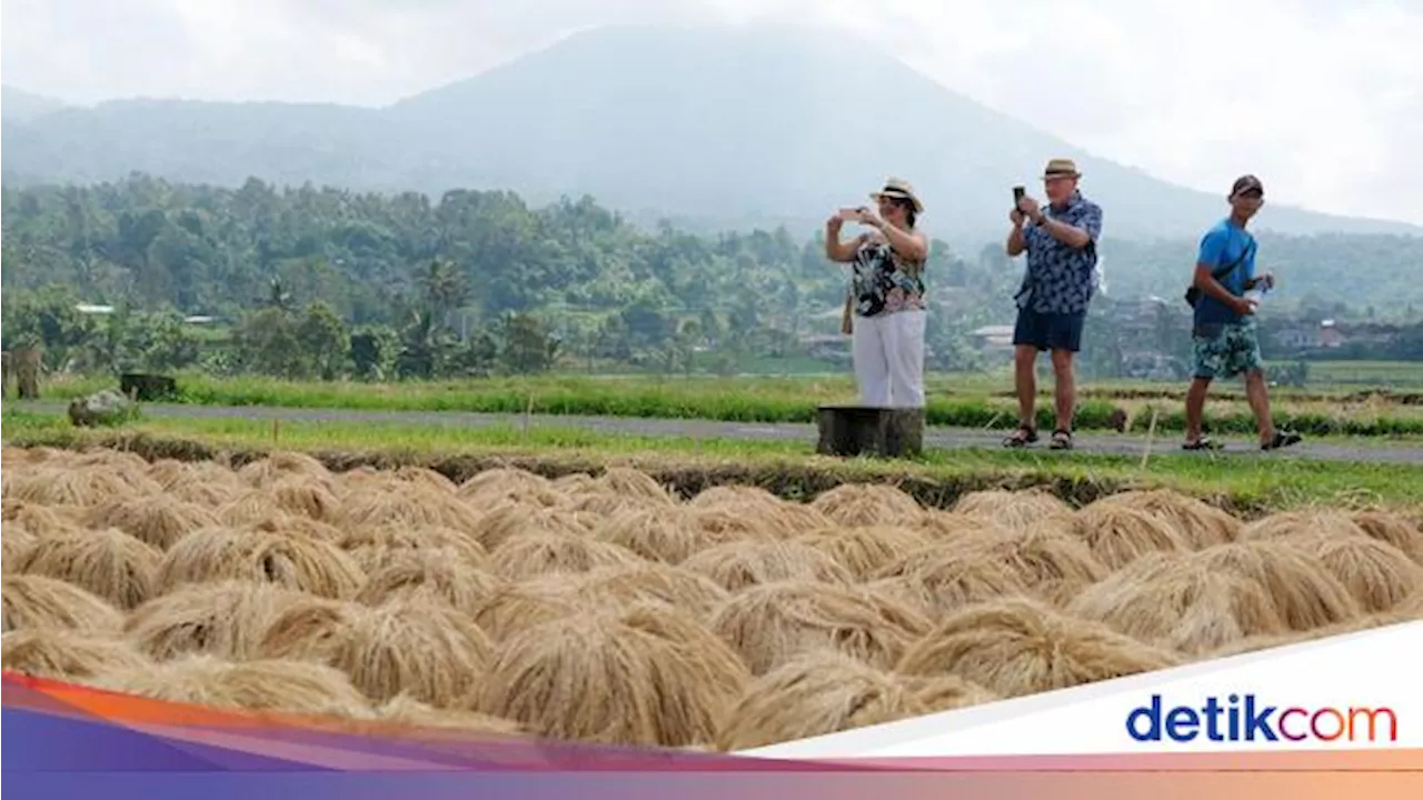 Kementan Jelaskan Produksi Beras di Tengah El Nino Berkepanjangan 2024