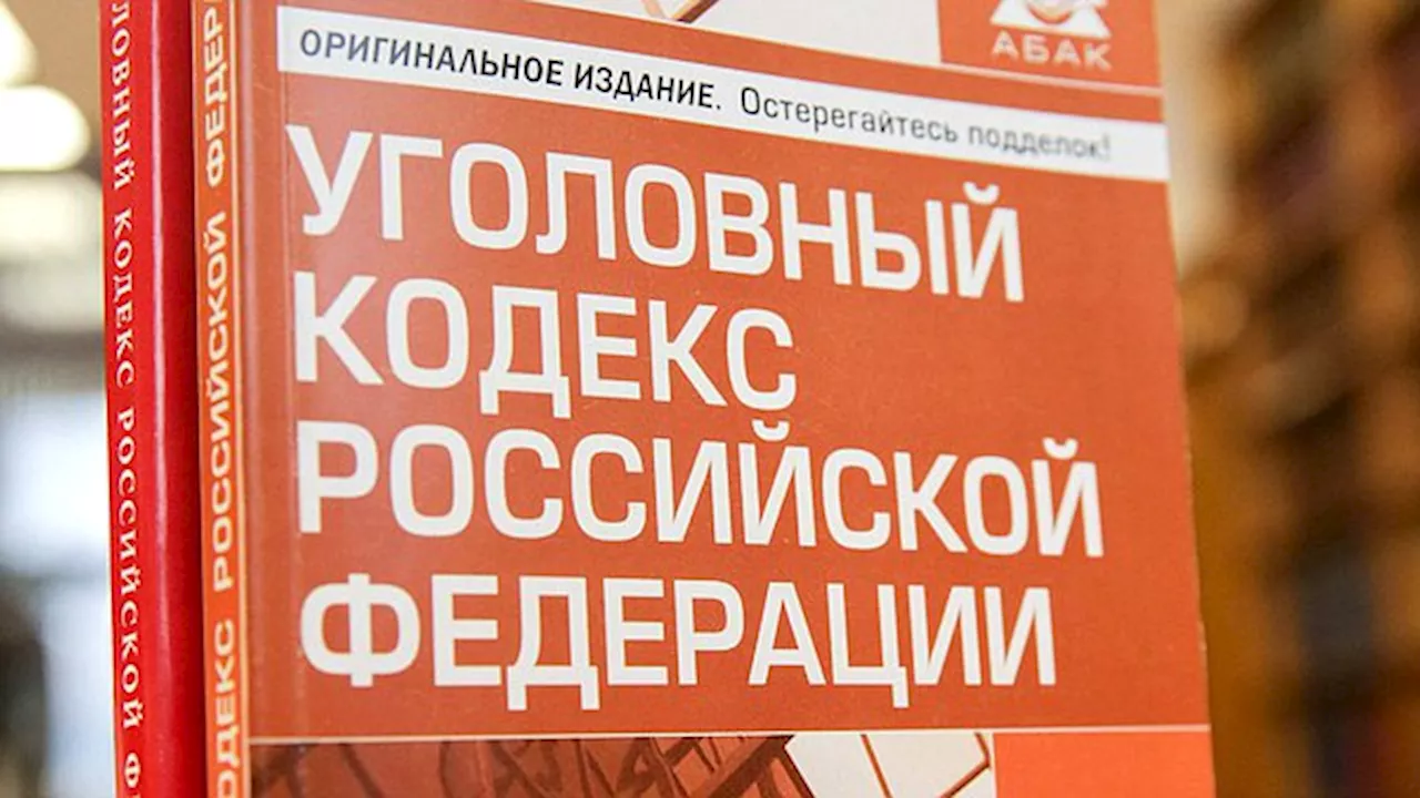 Депутаты Госдумы приняли в первом чтении поправки к УК и УПК РФ