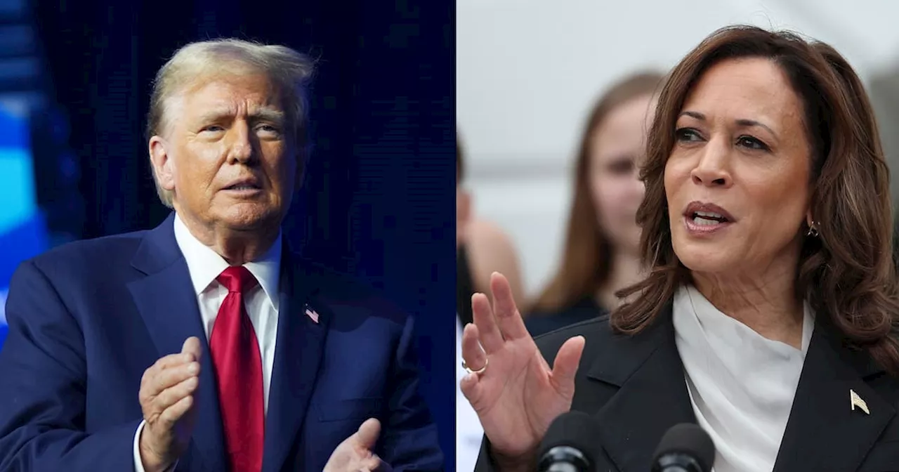 Voto latino en EE.UU: Kamala Harris sigue con ventaja sobre Donald Trump