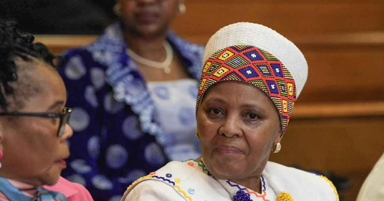 Lawyers for corruption-accused Mapisa-Nqakula want more info on police's evidence-gathering processes