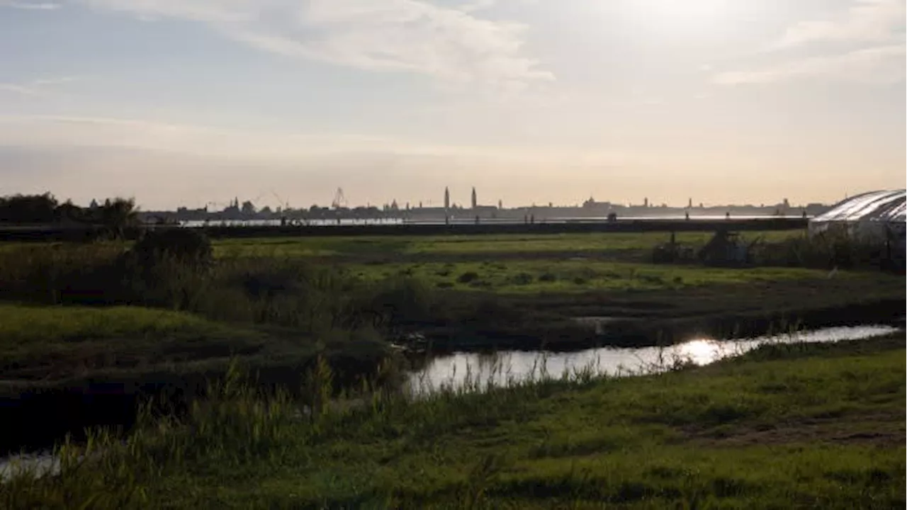 Inside Venice’s farm-to-table revolution