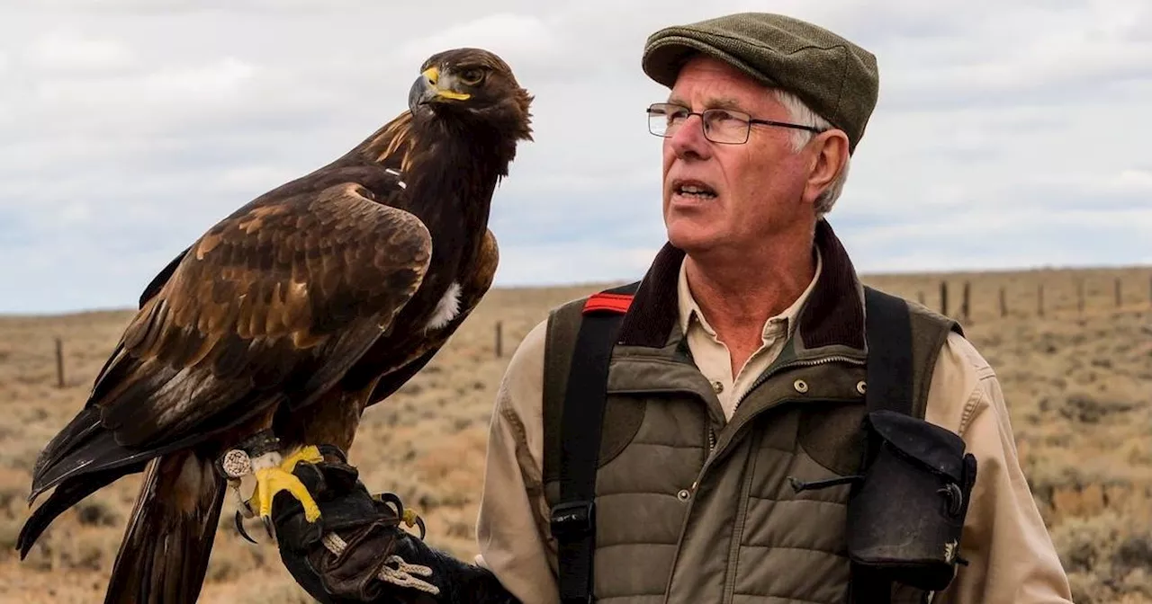 Lanarkshire owner of eagle breeding centre kept dozens of birds in squalid conditions