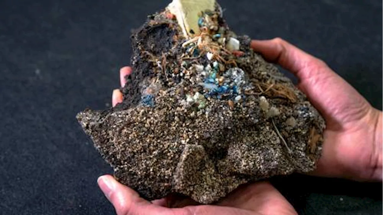 Plastic fossils: Evidence of human impact on world forever etched in rocks