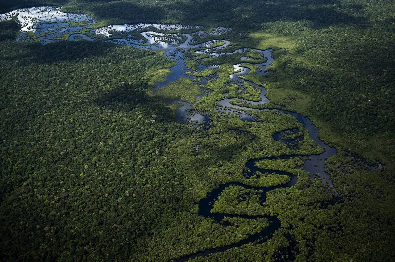 Few countries have drawn up nature protection plans — UN