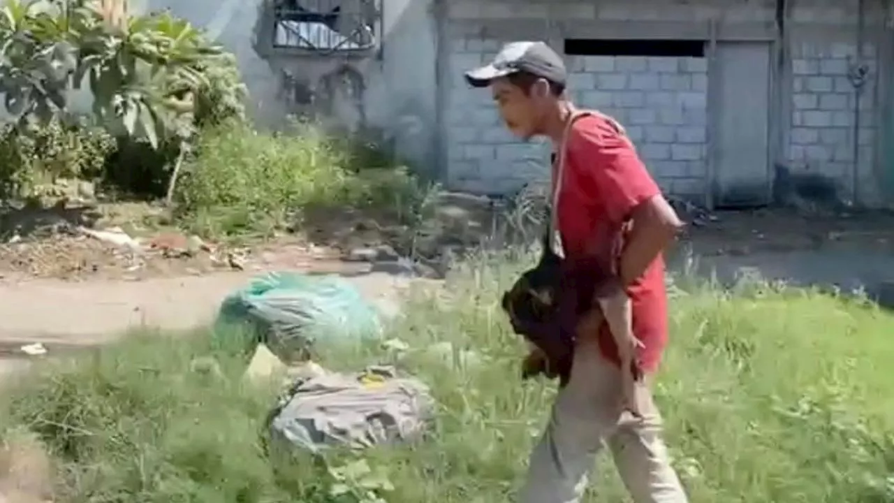 Hombre devora cabeza de perro en Veracruz, causando alarma