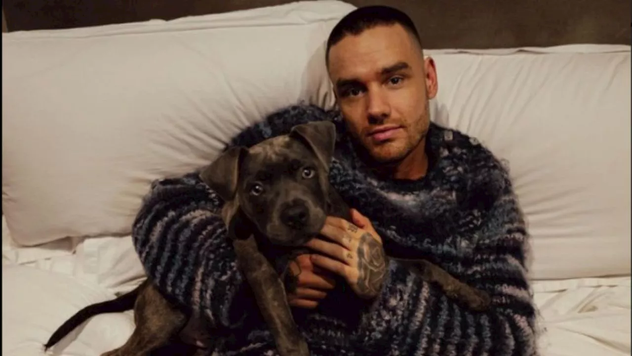 Muere Liam Payne a los 31 años, el exintegrante de One Direction estaba en Argentina