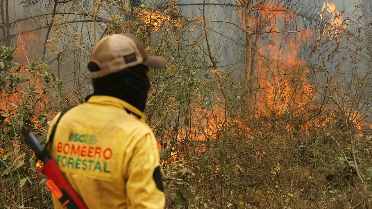  'Portugal brennt'! Feuer-Katastrophe tobt in Südamerika