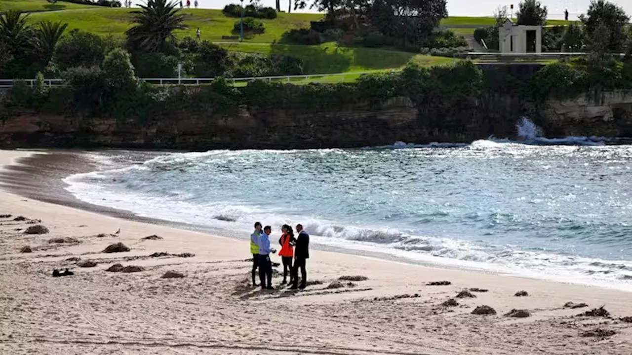 So groß wie Tennisbälle - Mysteriöse Kugeln – Strand bei Sydney gesperrt