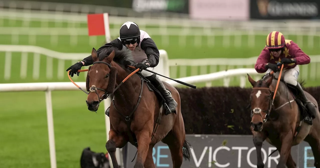 French Dynamite proves best at Punchestown for trainer Mouse Morris