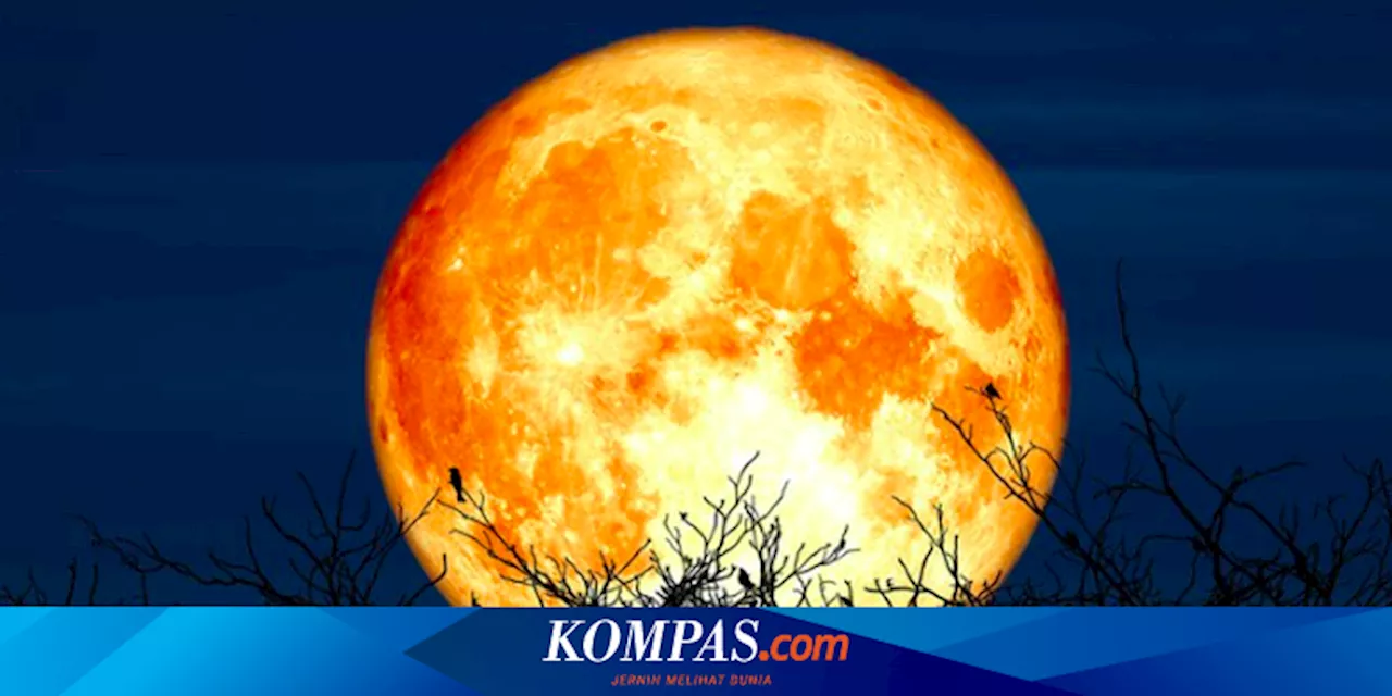 Ada Hunter's Moon pada 17 Oktober, Bulan Purnama Terbesar Sepanjang 2024