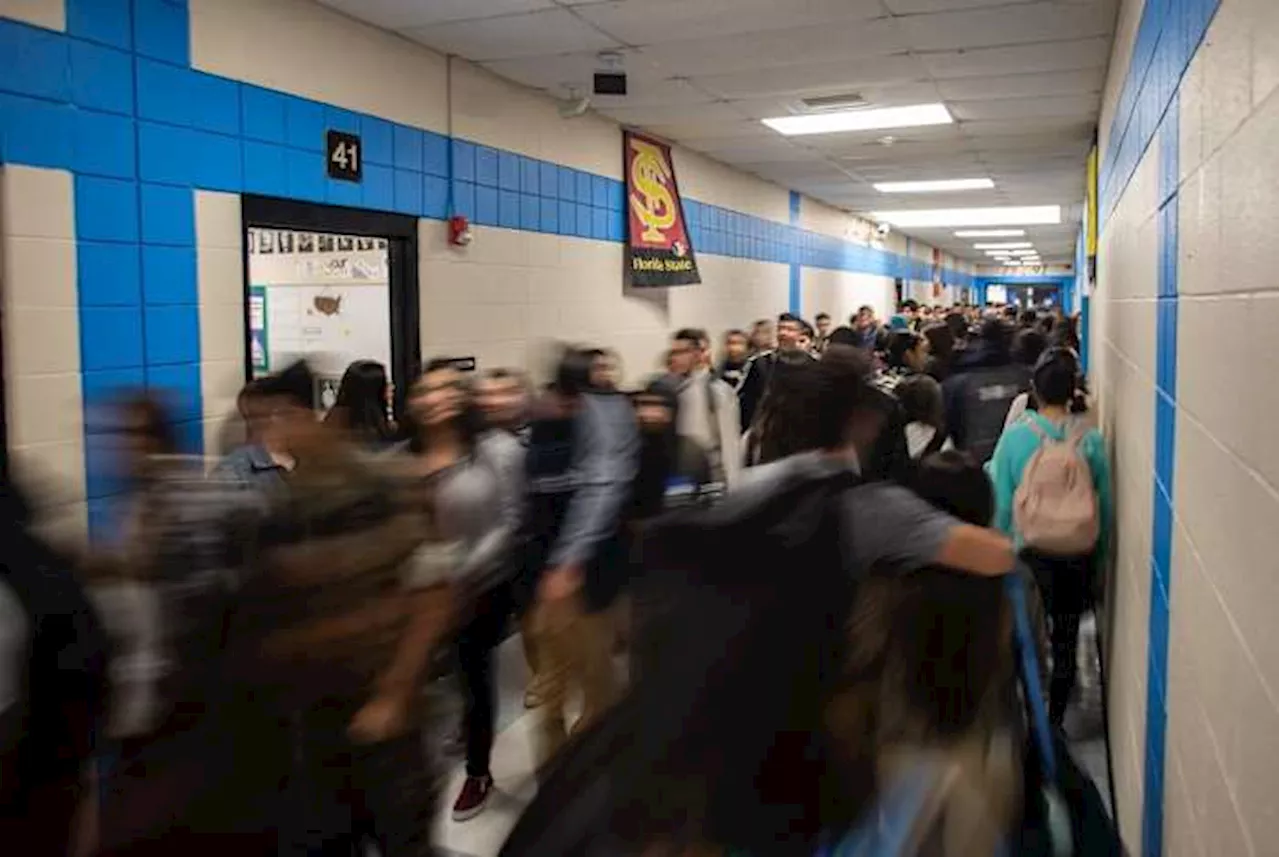 Nearly half of Texas high school students who earn college credits are Hispanic, study says