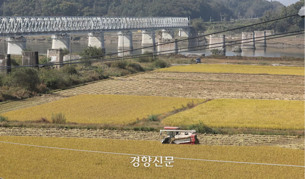 “하필 수확철에···” 평화 멀어져 생업 위태로운 민통선 안팎의 사람들[현장]