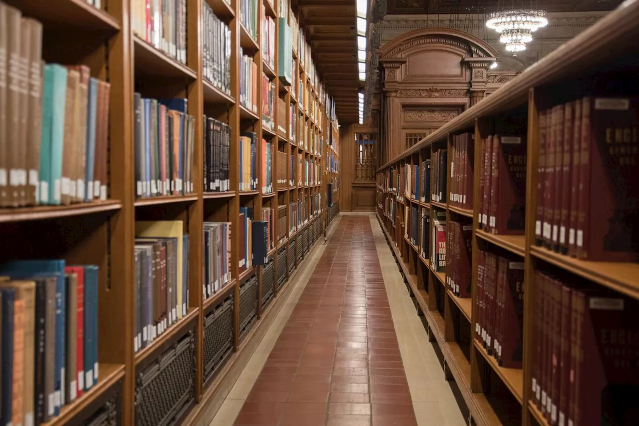 « Petits travaux pour un palais », le bibliothécaire qui rêvait d’un mausolée du livre