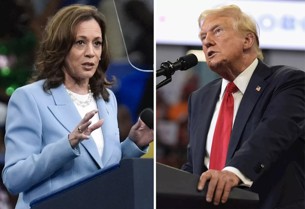 Donald Trump and Kamala Harris are both running on policies that will make things worse