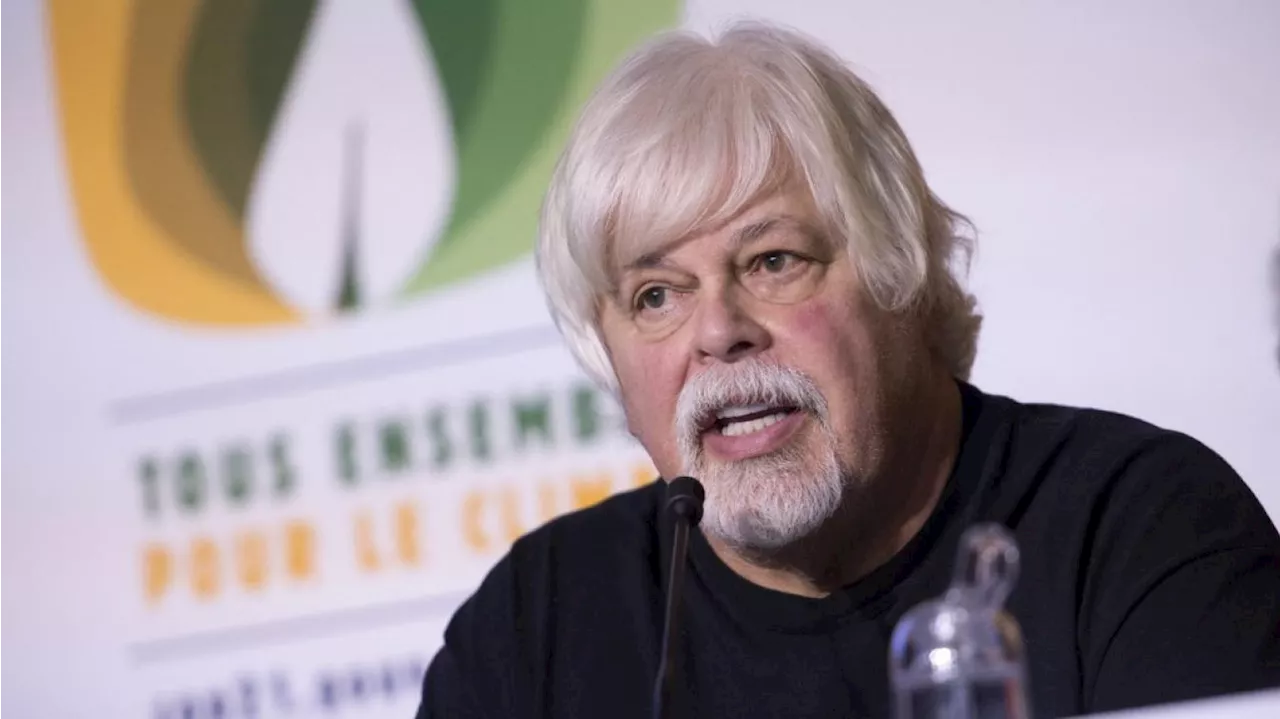 Paul Watson, le fondateur de Sea Shepherd, demande l’asile politique à la France