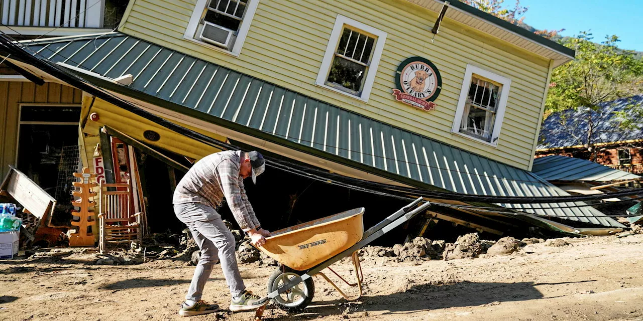 États-Unis : les dégâts de l’ouragan Helene sur la campagne présidentielle