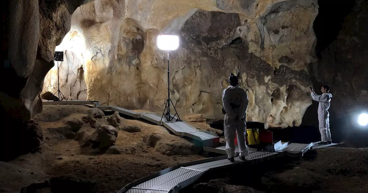 A la Cité des sciences, dans la peau des scientifiques de la grotte Chauvet