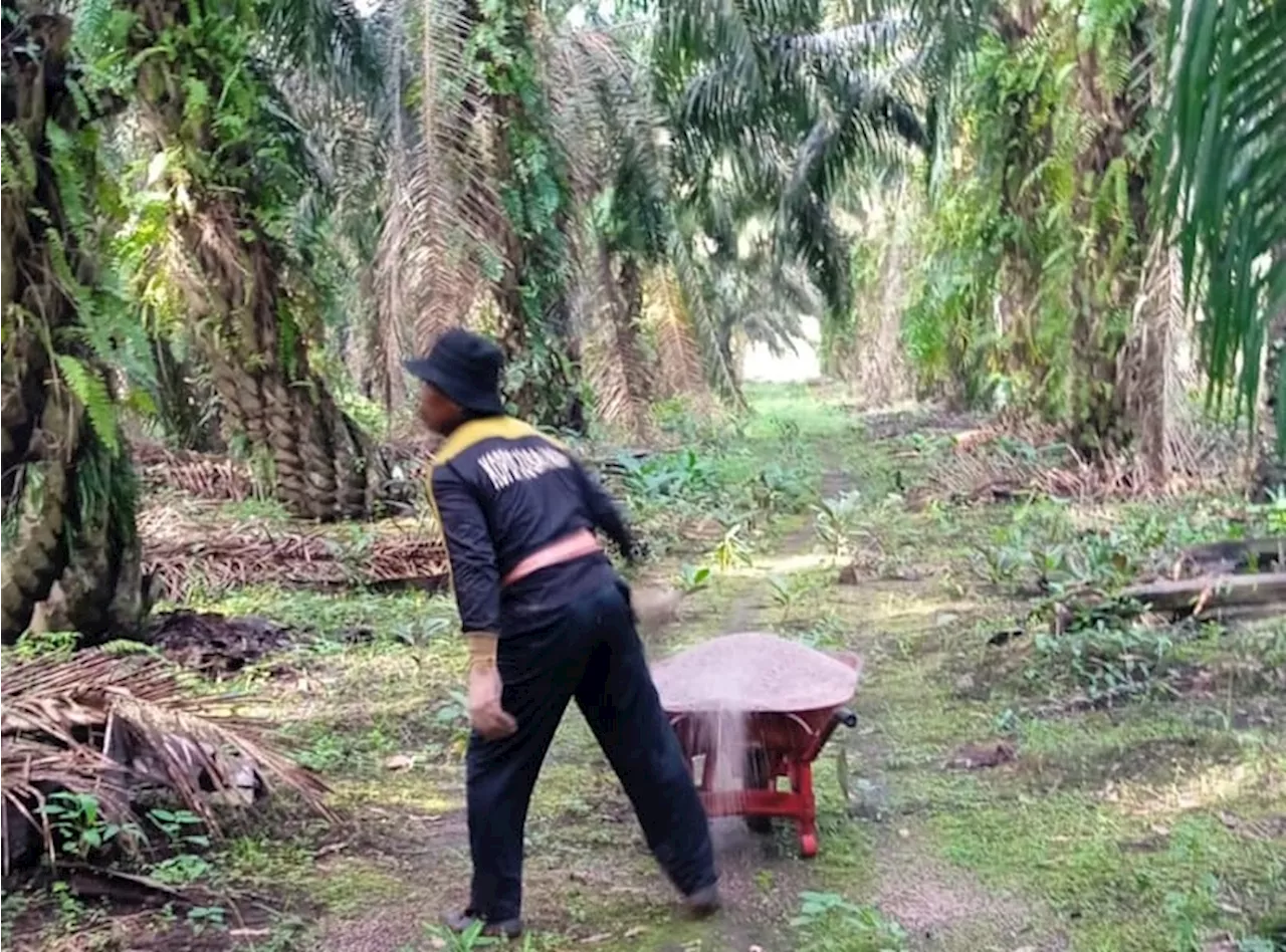 Alih Fungsi Lahan Pangan Semakin Mengkhawatirkan