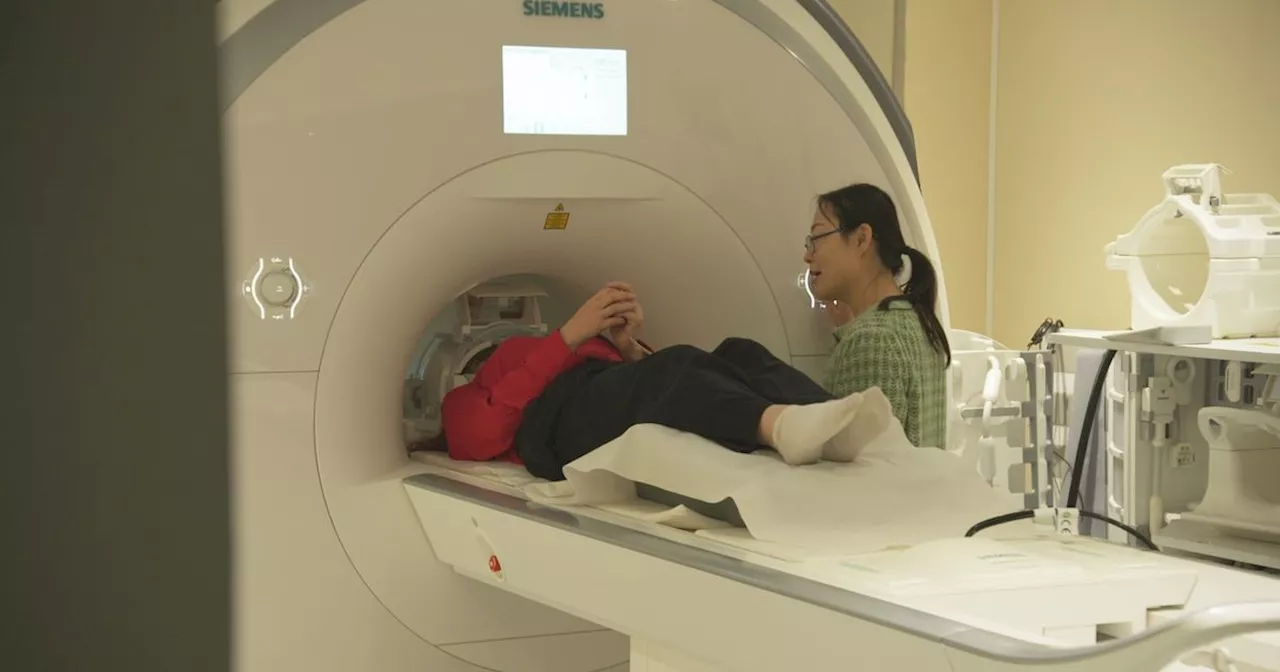 Horrifying brain scan shows how teenagers react to excessive phone use