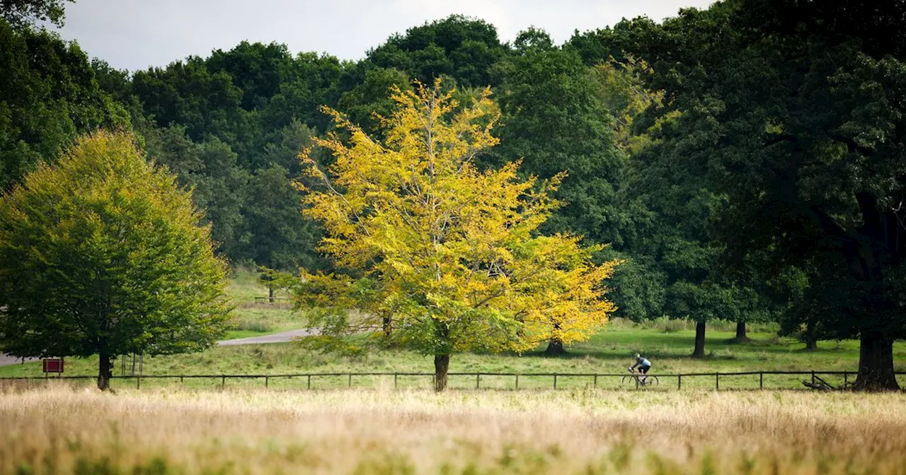 The north west gardens named among UK’s ‘most beautiful’ to visit this autumn