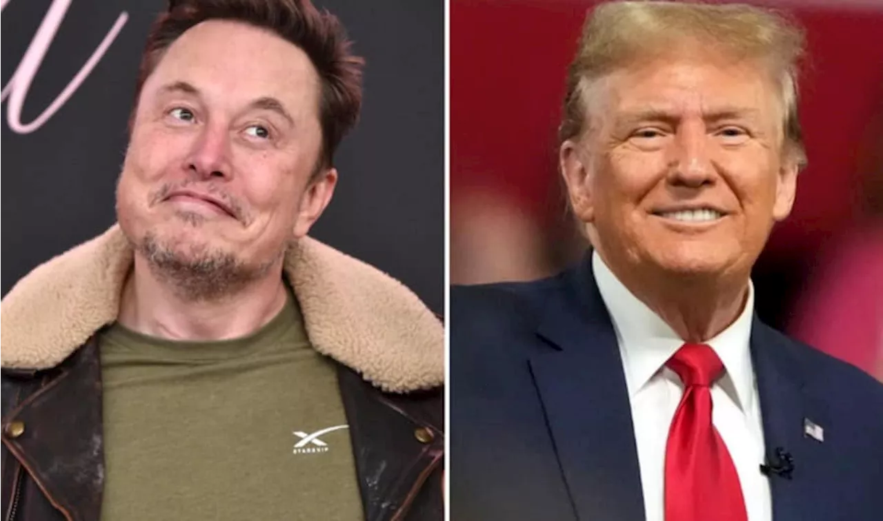 Elon Musk donó U$S 75 millones para que Donald Trump recupere la Casa Blanca