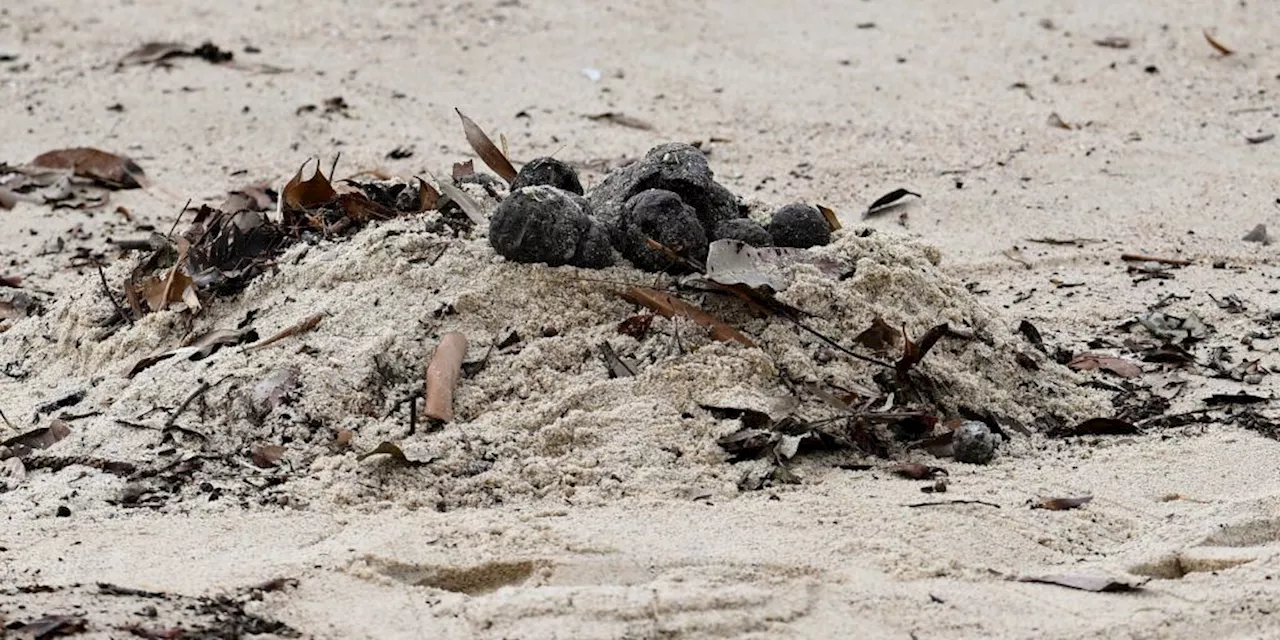 Strand in Australien muss wegen «mysteriöser» Kugeln schliessen