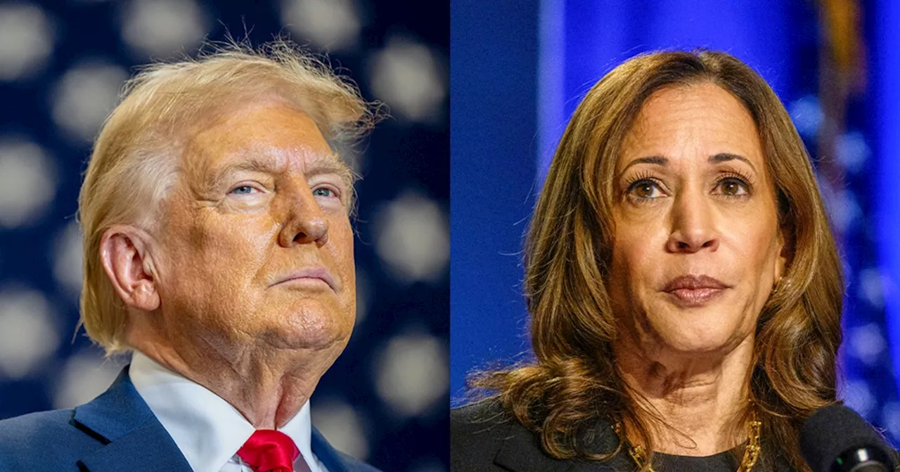 Election 2024 live updates: Harris and Vance campaign in Pennsylvania; Trump joins town hall in Miami