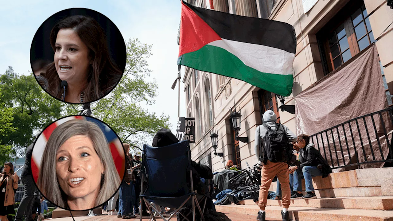 GOP lawmakers demand FBI probe pro-Palestine coalition at Columbia: 'Imminent violence'