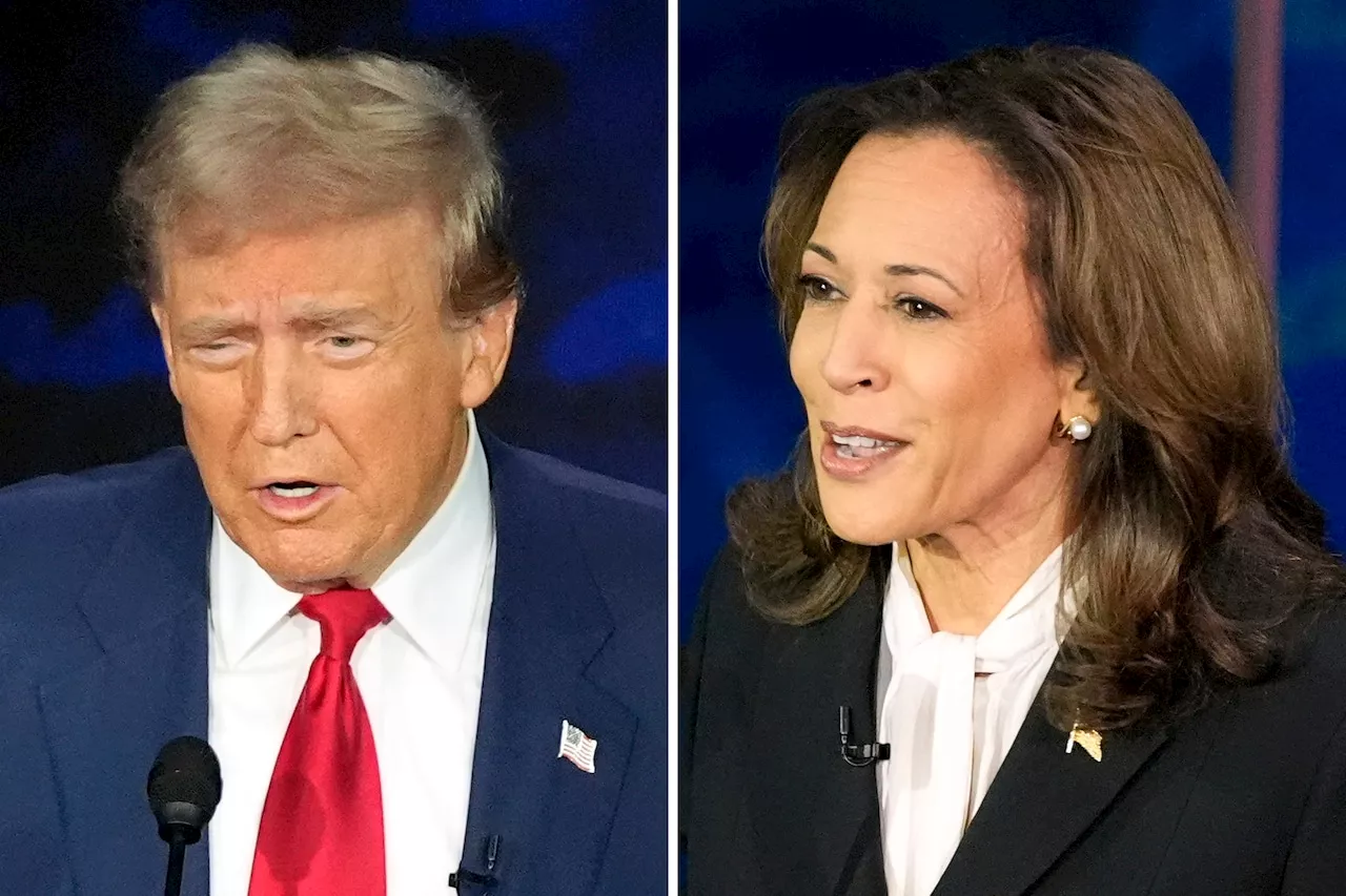 Harris or Trump? Ex-GOP adviser predicts swing states will ‘all go in one direction’