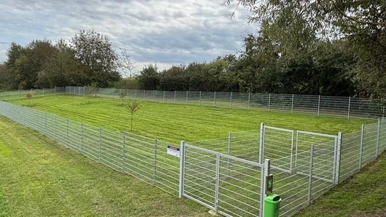 Melker Hundezone: Streit noch vor dem ersten Bellen