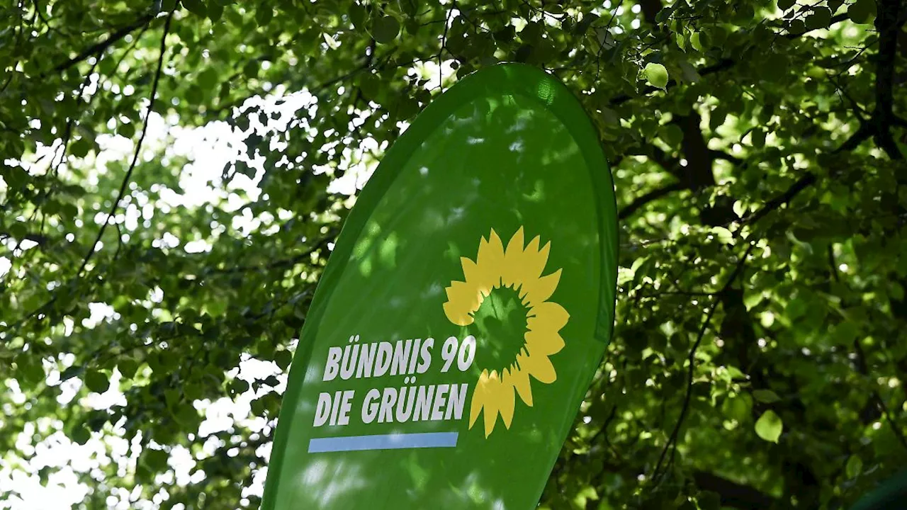 Rheinland-Pfalz & Saarland: Grüne Jugend Rheinland-Pfalz stellt sich neu auf