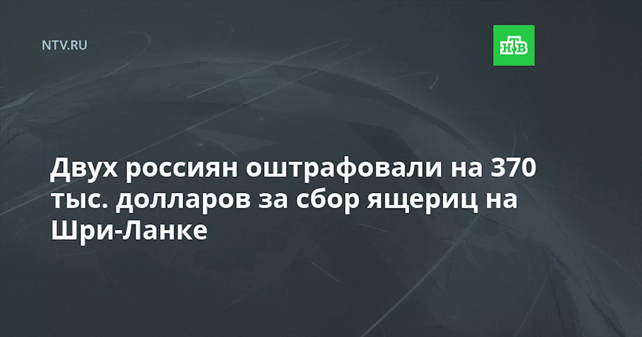 Двух россиян оштрафовали на 370 тыс. долларов за сбор ящериц на Шри-Ланке