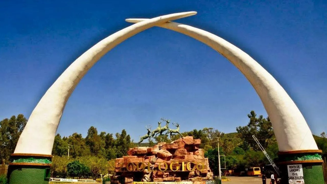 Arrancan obras de remodelación en el Zoológico de León, ¿cerrará sus puertas?