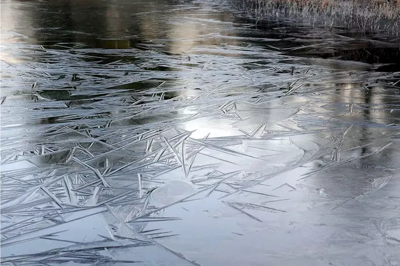 Frost is possible outside Philly on Thursday and Friday, even though temperatures should stay above freezing