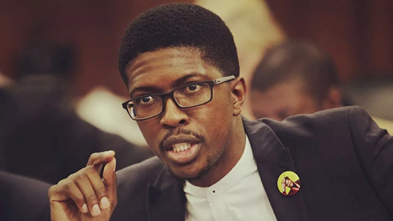 Transport Dept strongly opposes current RAF, AG litigation: Hlengwa - SABC News