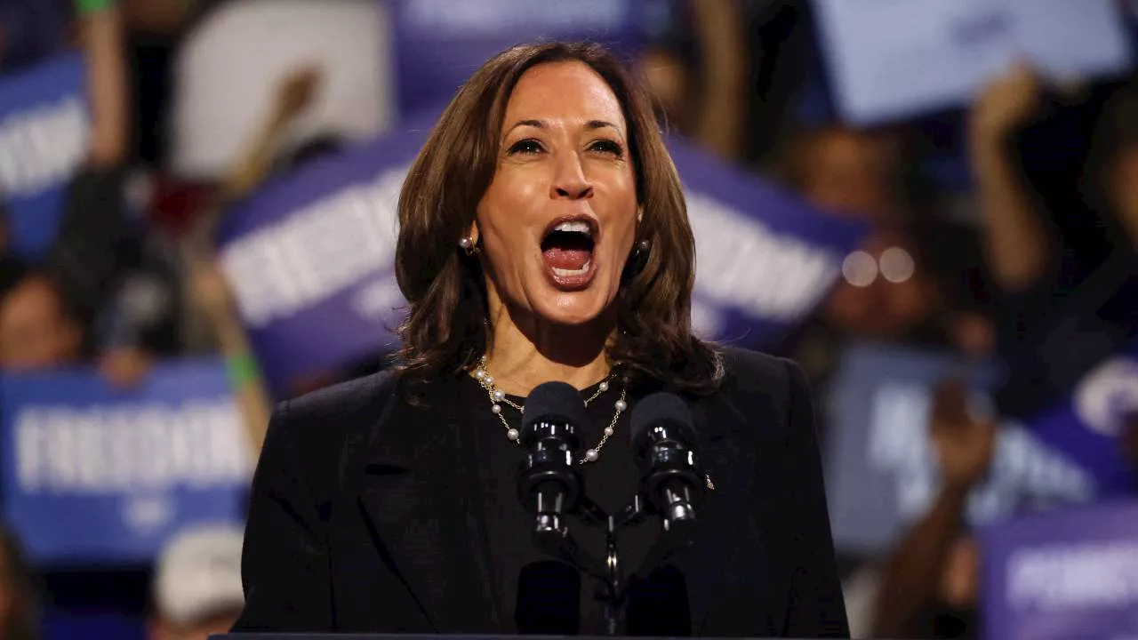 Prominent businessman blasts Kamala Harris: ‘Worst candidate’