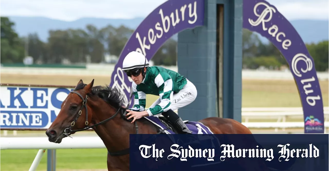 Race-by-race preview and tips for Hawkesbury on Thursday