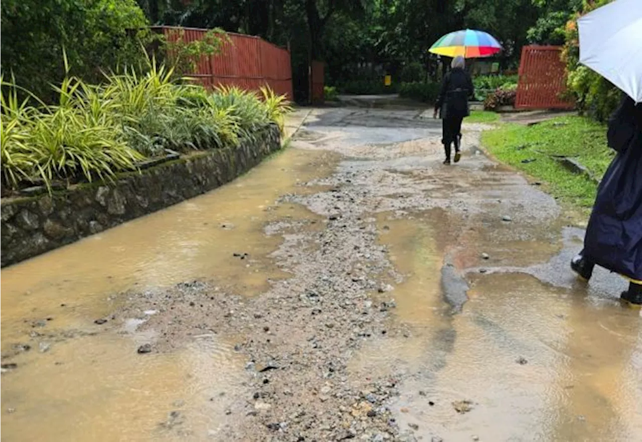 High and dry: Zoo Negara animals safe in quarters placed above flood levels (Video)