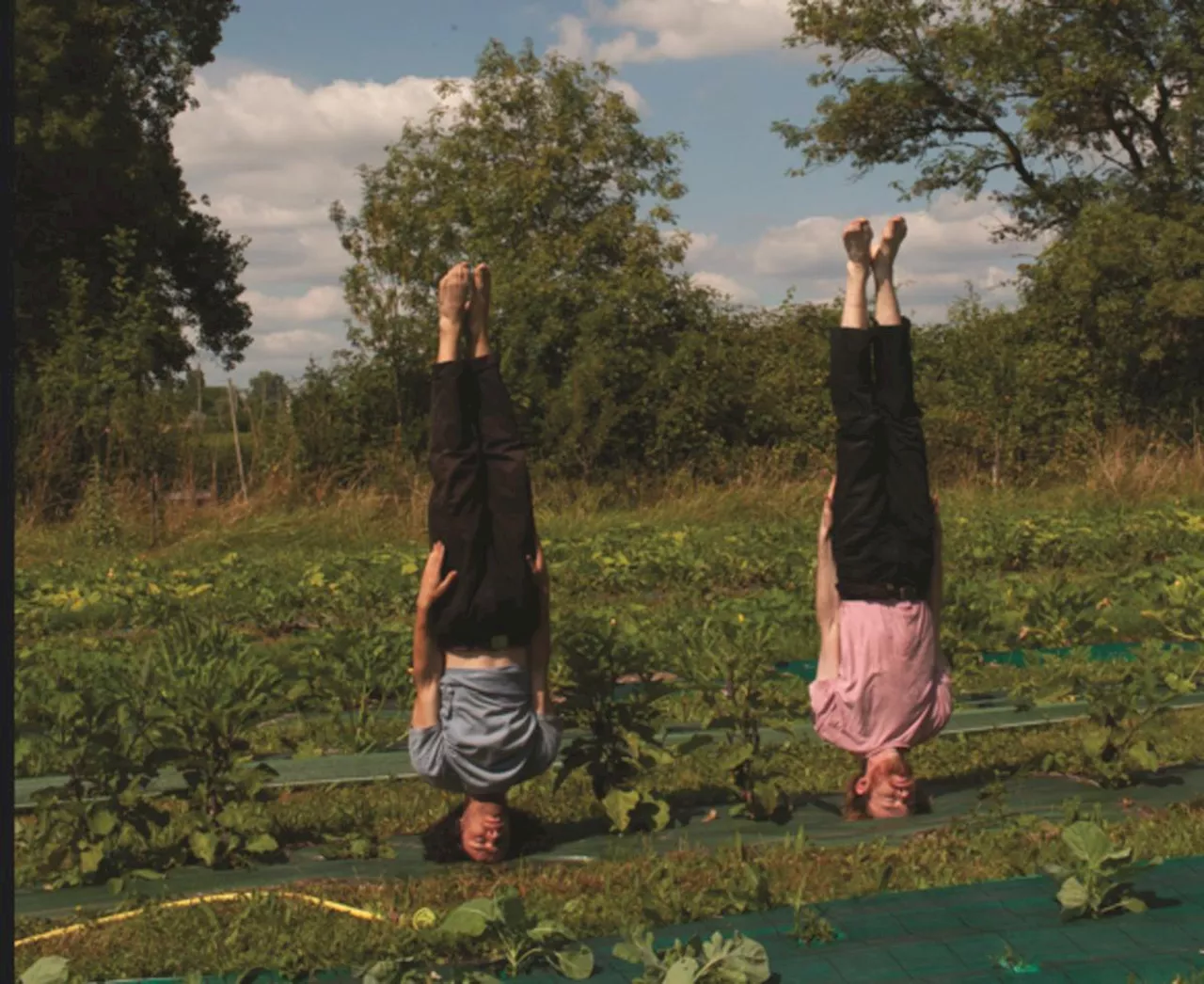 Gironde : une nouvelle édition de la Dauge Party à Saint-André-de-Cubzac met en lumière le travail de la photographe Camille Téqui