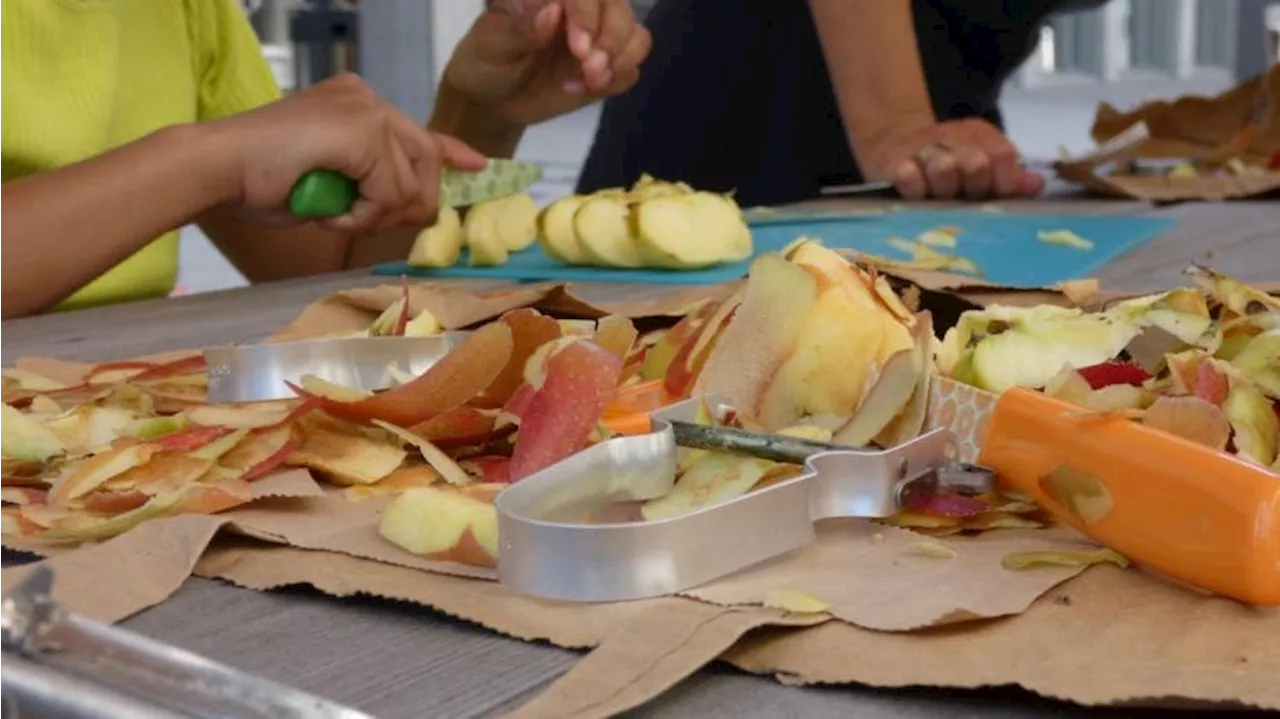 Tipps gegen Food Waste +++ Stadtparlament: Volk müsste über Co-Präsidium entscheiden +++ Auftakt zu «Stadtgeschichte im Stadthaus»