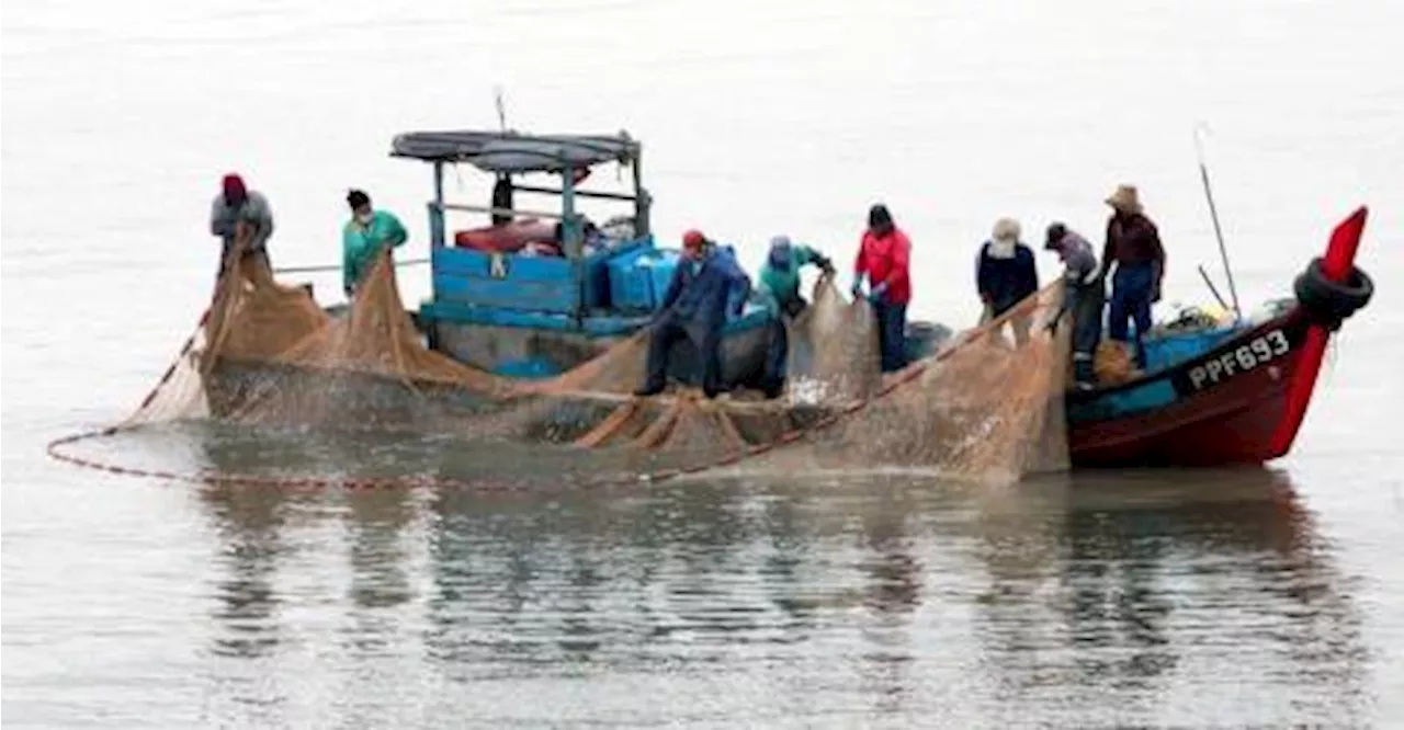 Northeast monsoon: Decline in fish landing; DOF to ensure supply stability nationwide