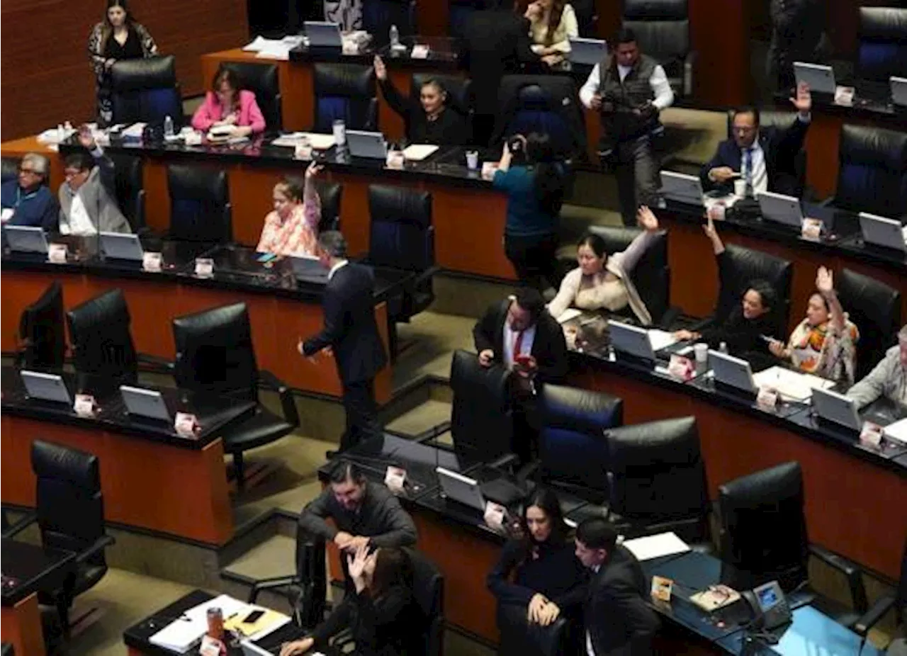 Senado aprueba convocatoria para elección judicial de 2025