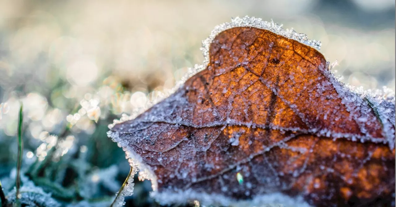 The first frost advisory of the season for Cuyahoga County has been issued