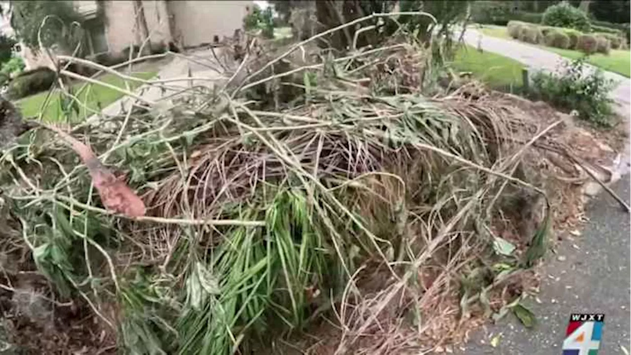 St. Johns County residents forced to practice patience with storm debris removal