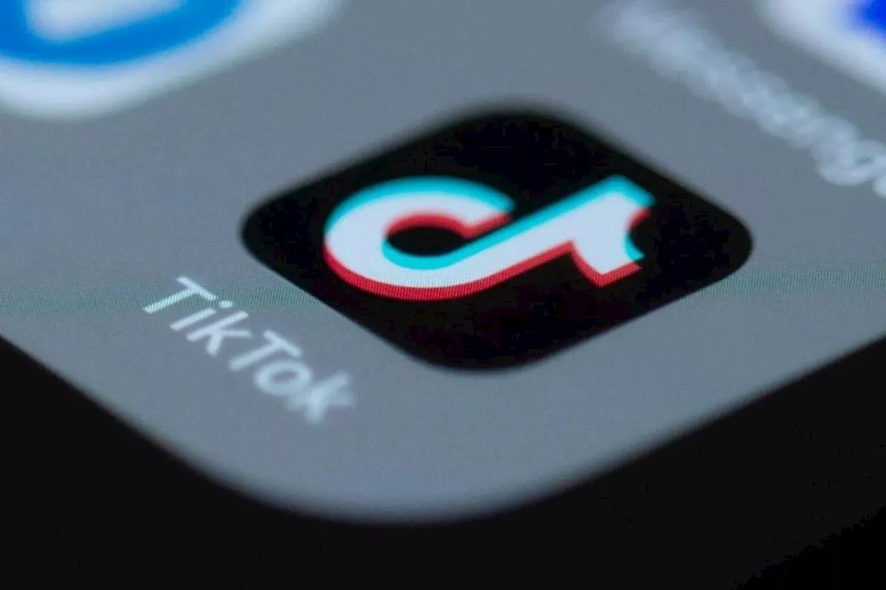 TikTok va finalement régler la « taxe YouTube » en France